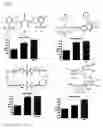 Fig. 04 - Method of modulating ship activity