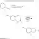 Fig. 30 - METABOTROPIC GLUTAMATE RECEPTOR MODULATORS