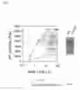 Fig. 05 - Compositions and methods for bone formation and remodeling