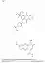 Fig. 11 - Compositions and methods for bone formation and remodeling