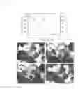 Fig. 20 - Compositions and methods for bone formation and remodeling