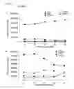 Fig. 26 - Compositions and methods for bone formation and remodeling