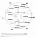 Fig. 30 - Compositions and methods for bone formation and remodeling
