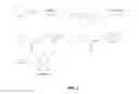 Fig. 03 - NOVEL COMPOUNDS FOR INHIBITING EEF-2 KINASE ACTIVITY