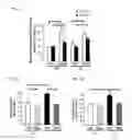 Fig. 09 - Methods for treating frontotemporal lobar degeneration with ubiquitinated inclusions (FTLD-U)