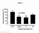 Fig. 07 - Phenolic hydrazone macrophage migration inhibitory factor inhibitors