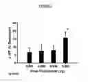 Fig. 02 - Selective, lipophilic, and long-acting beta agonist monotherapeutic formulations and methods for the cosmetic treatment of adiposity and contour bulging