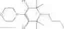 Fig. 30 - Bi—or tricyclic sterically hindered alkoxyamines and process for their preparation