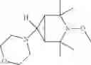 Fig. 41 - Bi—or tricyclic sterically hindered alkoxyamines and process for their preparation
