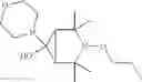 Fig. 53 - Bi—or tricyclic sterically hindered alkoxyamines and process for their preparation