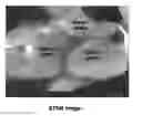 Fig. 01 - Isosorbide-Plasticized Starch And Uses Thereof