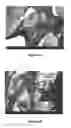 Fig. 03 - Isosorbide-Plasticized Starch And Uses Thereof