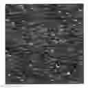 Fig. 01 - Crosslinked, Melt-Shapped Articles and Compositions for Producing Same