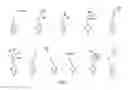 Fig. 02 - Substituted 3,4-propylenedioxythiophene monomers and 3,4-propylenedioxythiophene-based crosslinkers and polymers thereof