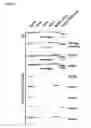 Fig. 06 - Screening strategies for the identification of binders