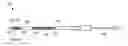 Fig. 01 - BIO-ABSORBABLE BRACHYTHERAPY STRANDS