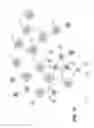 Fig. 13 - Aggregating Patient Adherence Scores