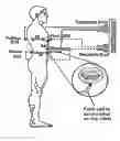 Fig. 01 - Non-invasive method for measuring changes in body position and respiration