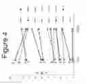Fig. 06 - Non-invasive method for measuring changes in body position and respiration