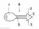 Fig. 01 - FIDUCIARY MARKERS AND METHOD OF USE THEREOF