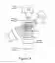 Fig. 03 - Methods and systems for prolonged localization of drug delivery