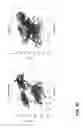 Fig. 48 - Spinal probe with tactile force feedback and pedicle breach prediction