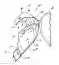 Fig. 01 - Support assembly for an ear