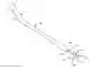 Fig. 01 - Indwelling urinary drainage catheter