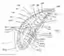 Fig. 01 - Sinus ablation devices, methods, and systems