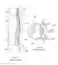 Fig. 07 - Inflatable medical devices