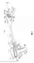 Fig. 02 - Surgical retrieval apparatus for thoracic procedures