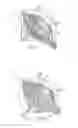 Fig. 05 - Surgical patch cover and method of use