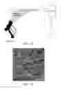 Fig. 12 - Intraluminal polymeric devices for the treatment of aneurysms