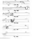 Fig. 45 - Distal protection devices and methods of providing distal protection