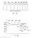 Fig. 06 - Methods and systems for determining if an arrhythmia initiated in an atrium or a ventricle