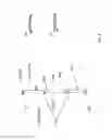 Fig. 09 - ACCOMMODATING INTRAOCULAR LENS AND METHODS OF USE
