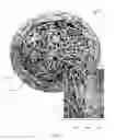 Fig. 02 - Devices and Methods for Tissue Engineering