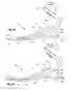 Fig. 07 - BIFURCATED, MULTI-PURPOSE PROSTHETIC FOOT