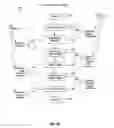 Fig. 04 - Systems and methods for the automated pre-treatment and processing of biological samples