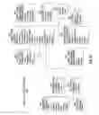 Fig. 13 - Systems and methods for the automated pre-treatment and processing of biological samples