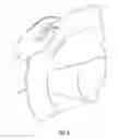 Fig. 08 - Steering wheel system