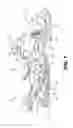 Fig. 02 - Method of controlling a hydraulic continuously variable transmission