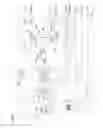Fig. 06 - Collecting Control Source Electromagnetic Signals