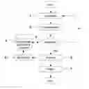 Fig. 01 - Devices, Systems, and Methods for the Real-Time and Individualized Prediction of Health and Economic Outcomes