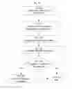 Fig. 98 - SYSTEM FOR CONCURRENT OPTIMIZATION OF BUSINESS ECONOMICS AND CUSTOMER VALUE