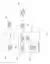 Fig. 19 - SYSTEM FOR RETRIEVING MOBILE COMMUNICATION FACILITY USER DATA FROM A PLURALITY OF PROVIDERS