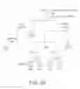 Fig. 43 - Semantic associations in data