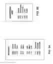 Fig. 06 - Inline tree data structure for high-speed searching and filtering of large datasets