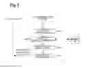Fig. 06 - System for recommending an article not present in an image