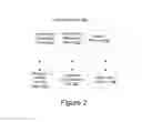 Fig. 03 - Consistency domains for replication in distributed computing
